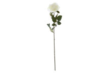 White Rose Stem