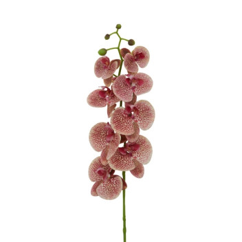 Fiori 100cm Orchid Spray - Pink