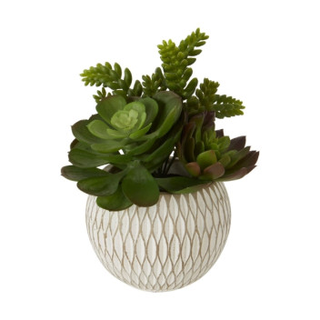 Fiori Mixed Succulent - Ceramic Pot
