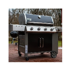 Category image for Barbecues