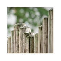 Category image for Fence Posts