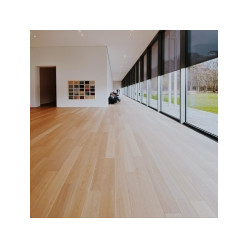 Category image for Laminate Flooring