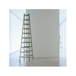 Category image for Ladders & Steps