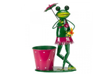 Brolly Frog Pot-Pet