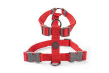 Walkabout Red Dog Harness - L