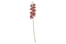 Fiori 100cm Orchid Spray - Pink