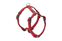 H-Harness Ziggi Red 45-70Cm 20Mm