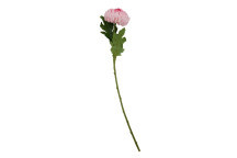 Fiori 82cm Chrysanthemum - Stem Pink