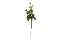 Fiori 88cm Pale Lime Hops Spray Foliage - Green