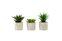 Set of 3 Succulents - Geo Cement Pots