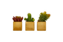 Set of 3 Mini Succulents - Gold Ceramic Pots