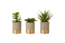 Fiori Set of 3 Succulents - Ceramic Pot Grey/ Gold