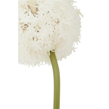 Fiori 72cm Allium Stem - Ivory