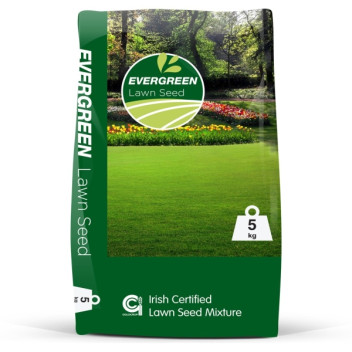 Evergreen Lawn Seed 5Kg