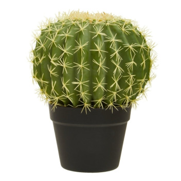 Fiori Cactus In Plastic Pot