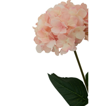 Fiori 74cm Hydrangea Stem - Pink