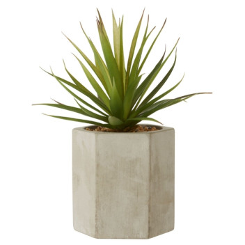 Fiori Sword Grass - Ceramic Pot Grey