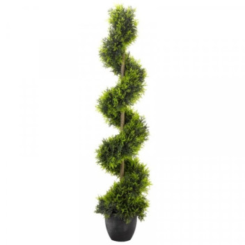 Smart Garden Cypress Topiary Twirl