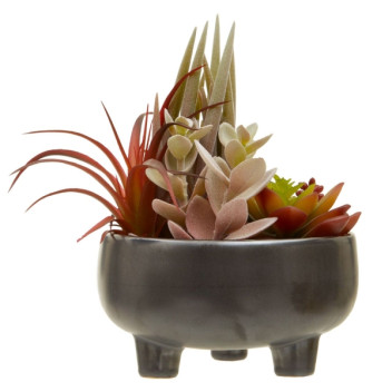 Fiori Mixed Succulents In Lrg Gry Ceramic Pot