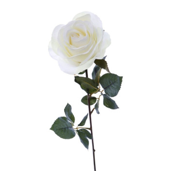 White Rose Stem