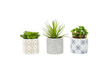 Set of 3 Succulents - Henna Ceramic Pots