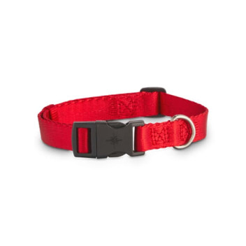 Walkabout Red Dog Collar - M